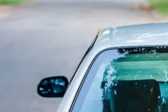 Rear view of a silver car parked on an empty road surrounded by greenery.
