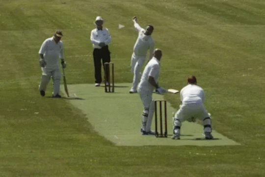 A field of cricket where match is going.