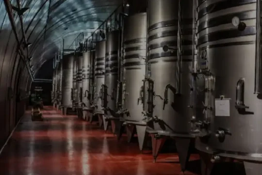 A long row of large, gleaming stainless steel fermentation tanks in a winery.