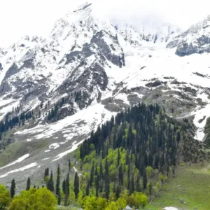 Snow-capped mountains towering over a valley with green trees and a small building.