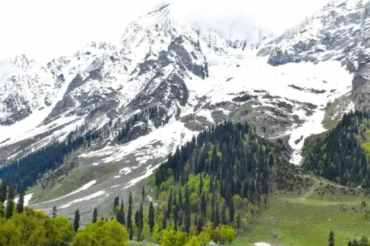Snow-capped mountains towering over a valley with green trees and a small building.