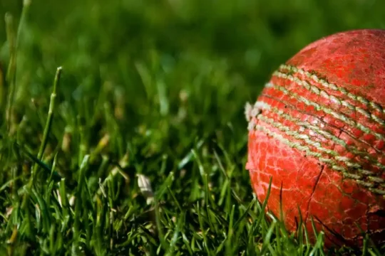 A red cricket ball with prominent stitching resting on green grass.