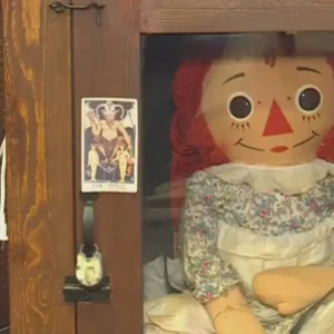 The Annabelle doll is encased in a wooden display cabinet with a tarot card taped to the door.