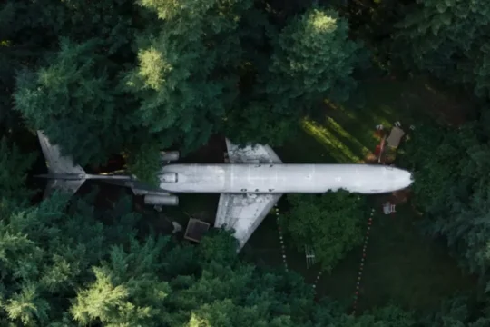 An aerial view of an abandoned plane nestled within a dense forest.
