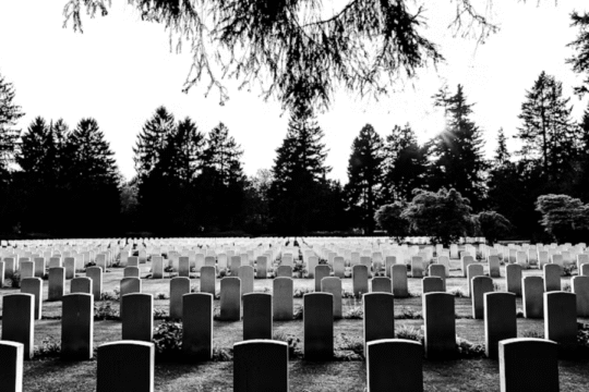 Rows of gravestones in a serene cemetery surrounded by tall trees, captured in black and white.