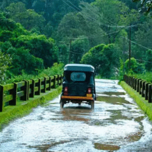 An auto rickshaw driving on a rain-soaked forest road surrounded by lush green trees.