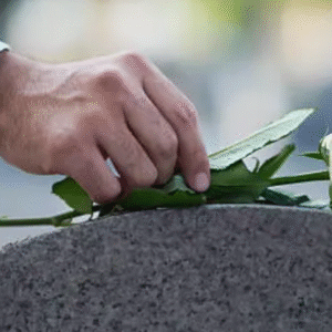 A hand placing a white rose on a gravestone as a gesture of remembrance.