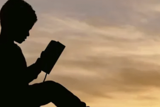Silhouette of a child reading a book under a tree during sunset