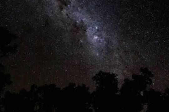 Star-filled night sky with silhouette of trees beneath the Milky Way.